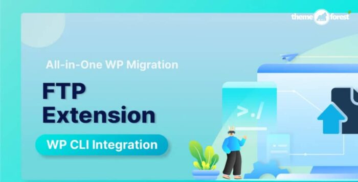 All In One WP Migration FTP Plugin