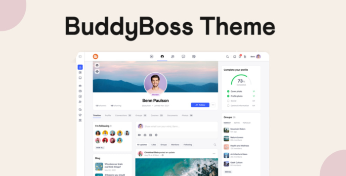 BuddyBoss Theme