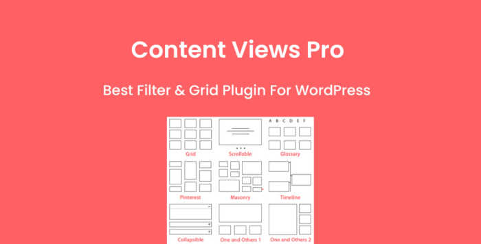 Content Views Pro Plugin