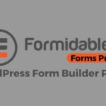 Formidable Forms Pro – WordPress Form Builder Plugin 6.10