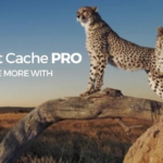 WP Fastest Cache Premium WordPress Plugin