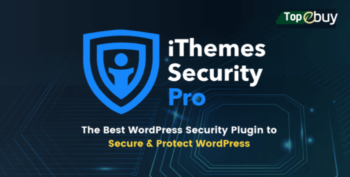 iThemes Solid Security Pro